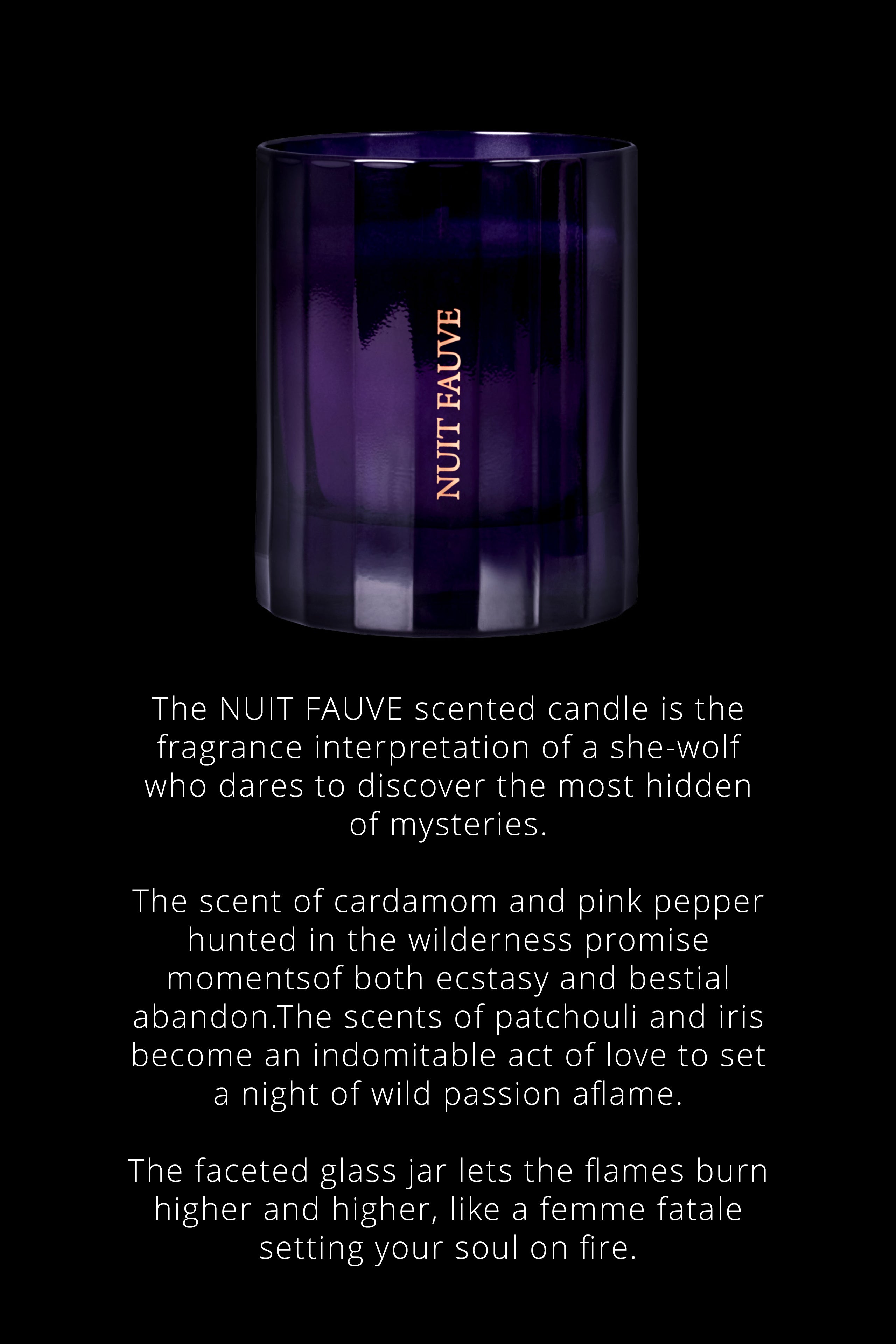 Scented Candle Chypre notes - Nuit Fauve