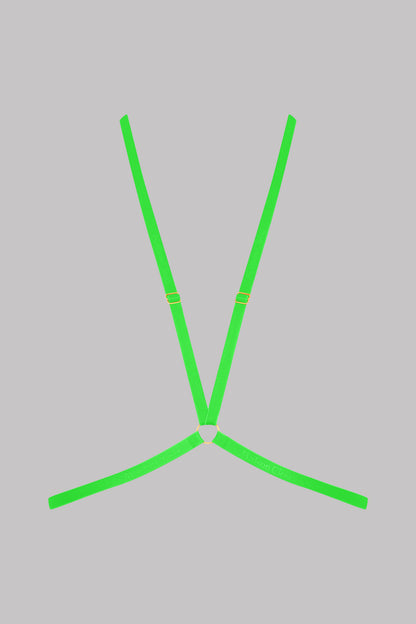 Harness - Signature