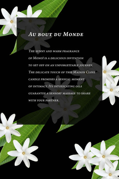 Massage Candle - Monoï - Au Bout du Monde